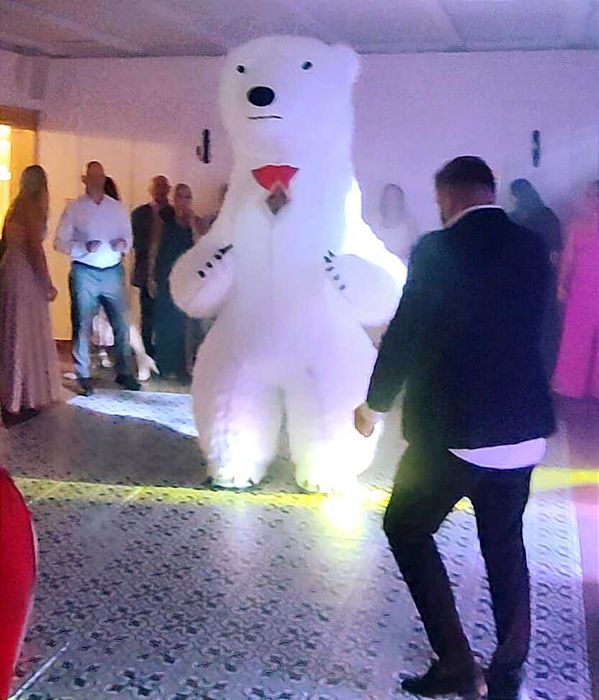 Biały Miś na imprezę Żywe Maskotki Animacje