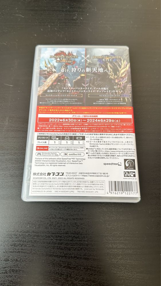 Monster hunter rise Nintendo switch