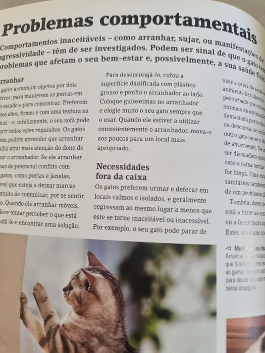 Livro NOVO o "Manual do Gato"
