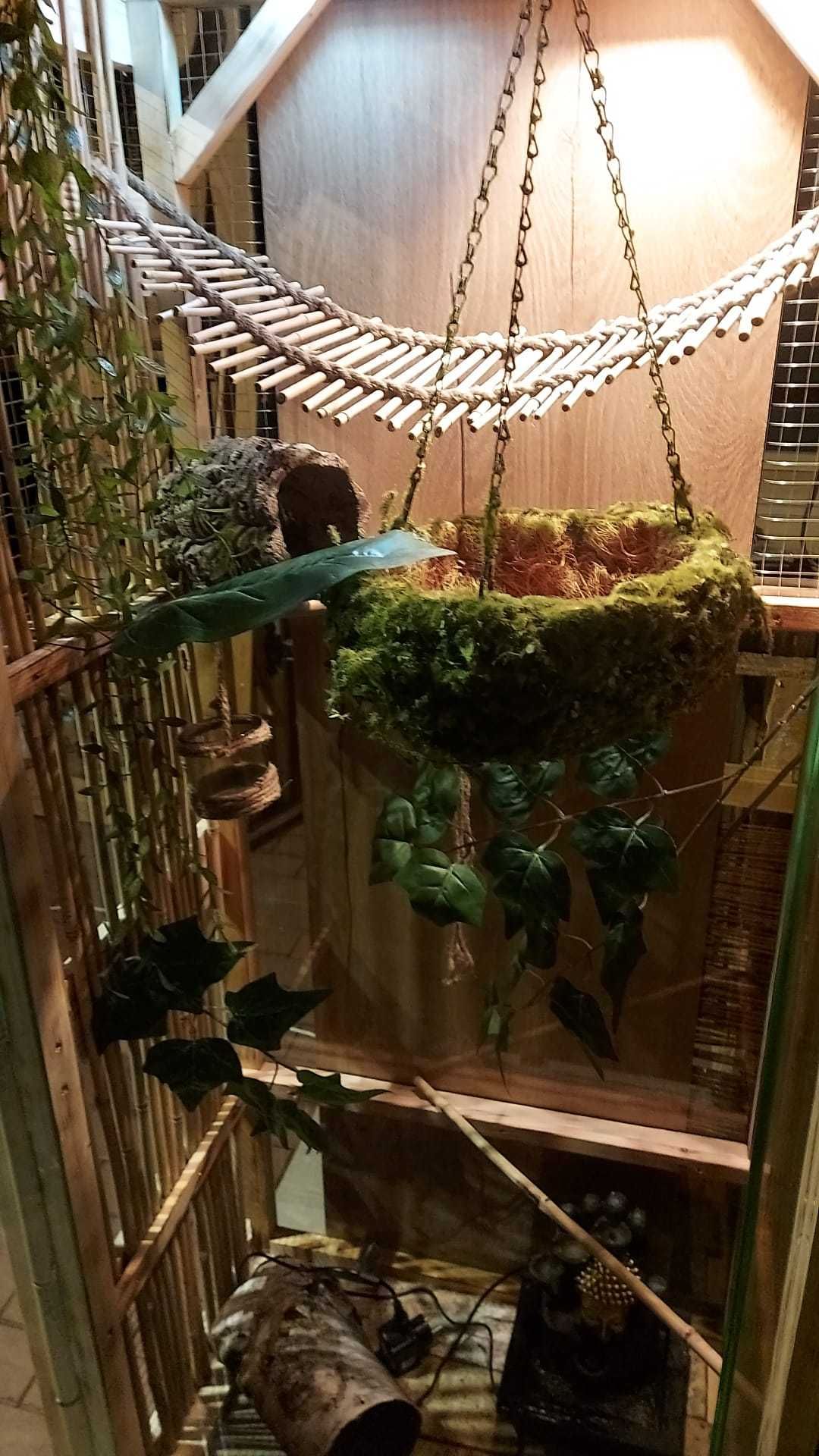 Terrarium jak mebel