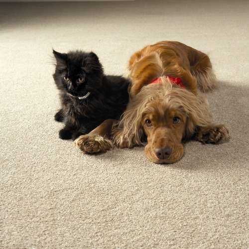 Tania i solidna firma sprzątająca /Piaseczno i okolice/