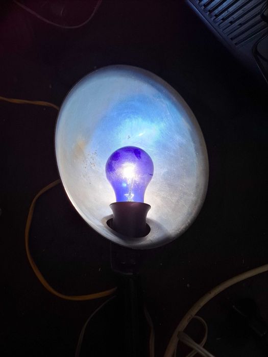 Дампа синяя      .