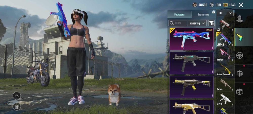 PUBG mobile Account
