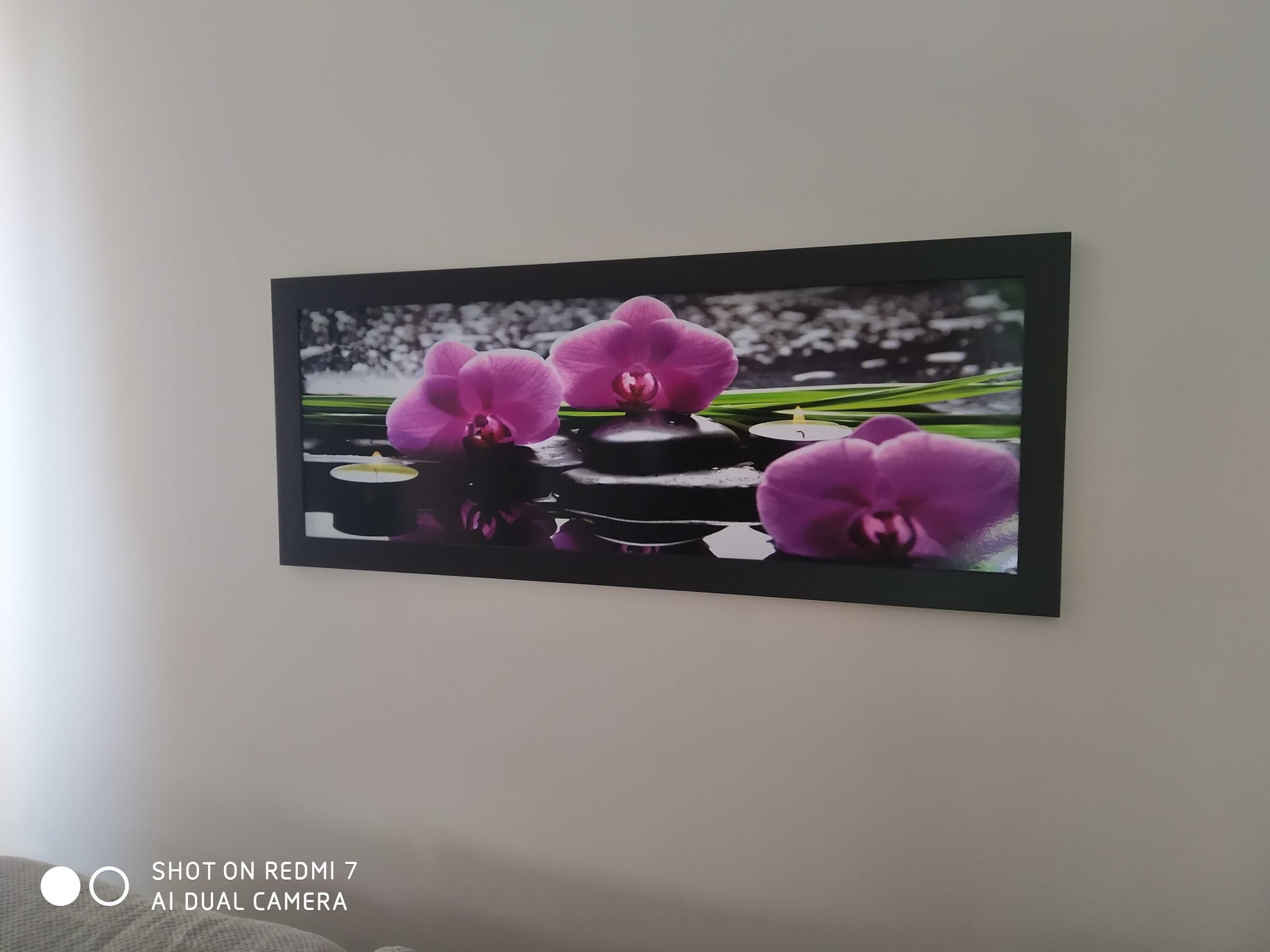 Foto-obraz, fioletowe orchidee, czarne kamienie