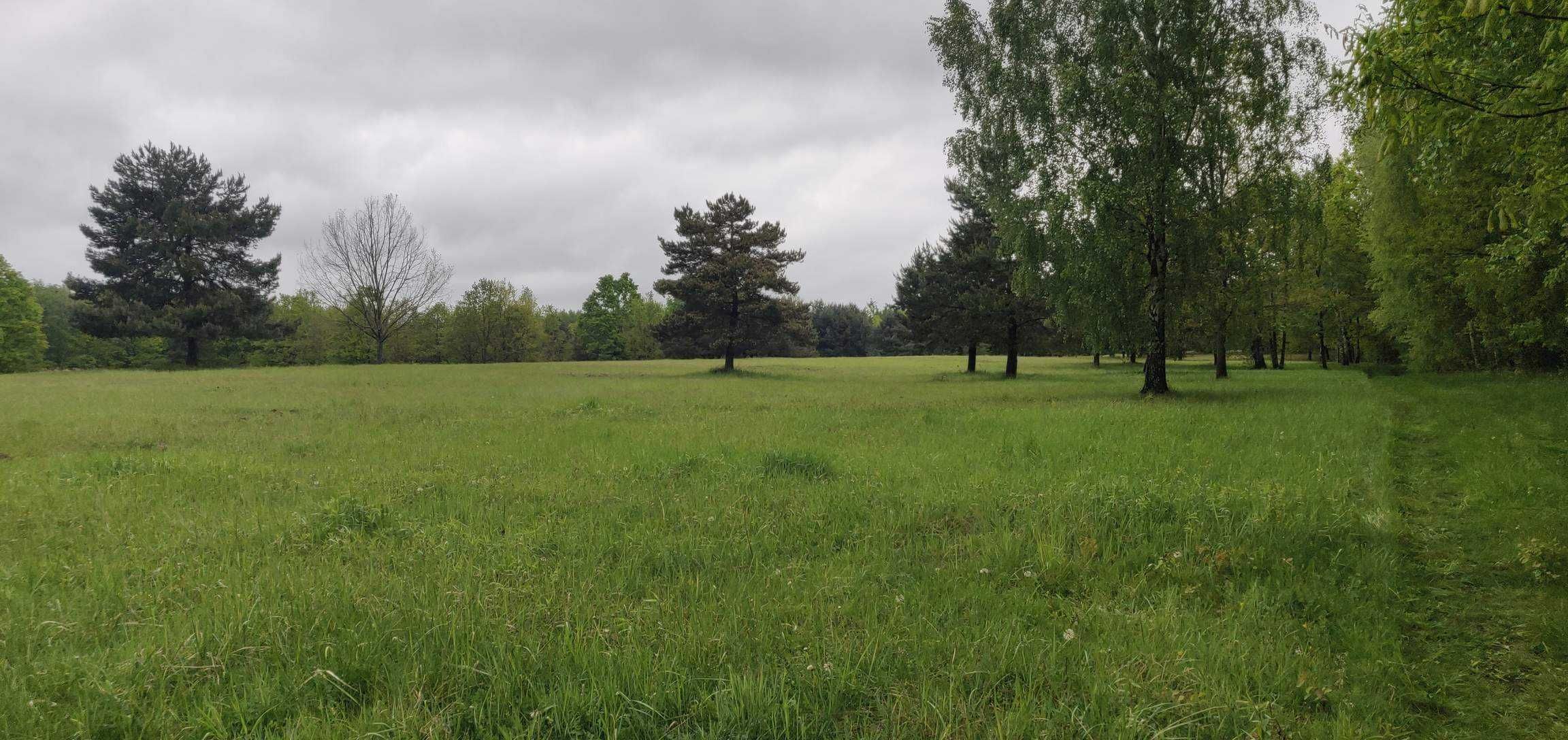 Działki rekreacyjne nad jeziorem Łukcze