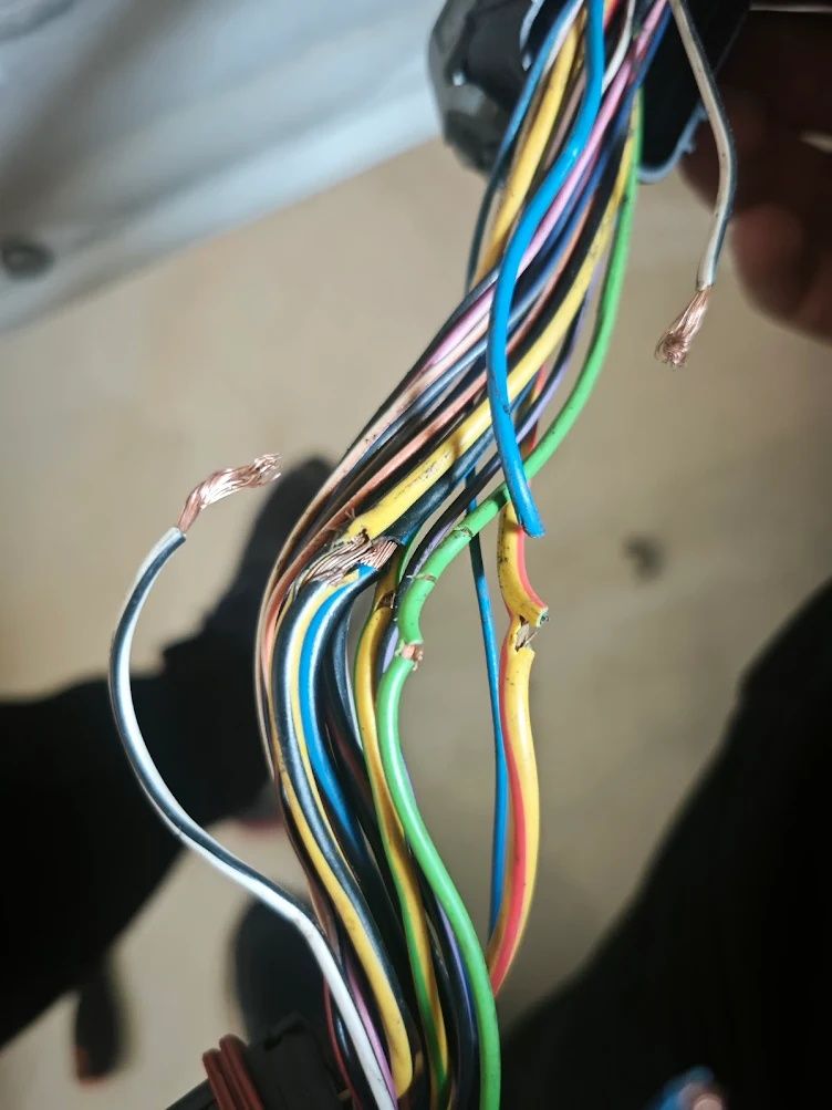 Autoelektronika,Elektryka,Dpf,Egr, Chip tuning,Serwis BMW