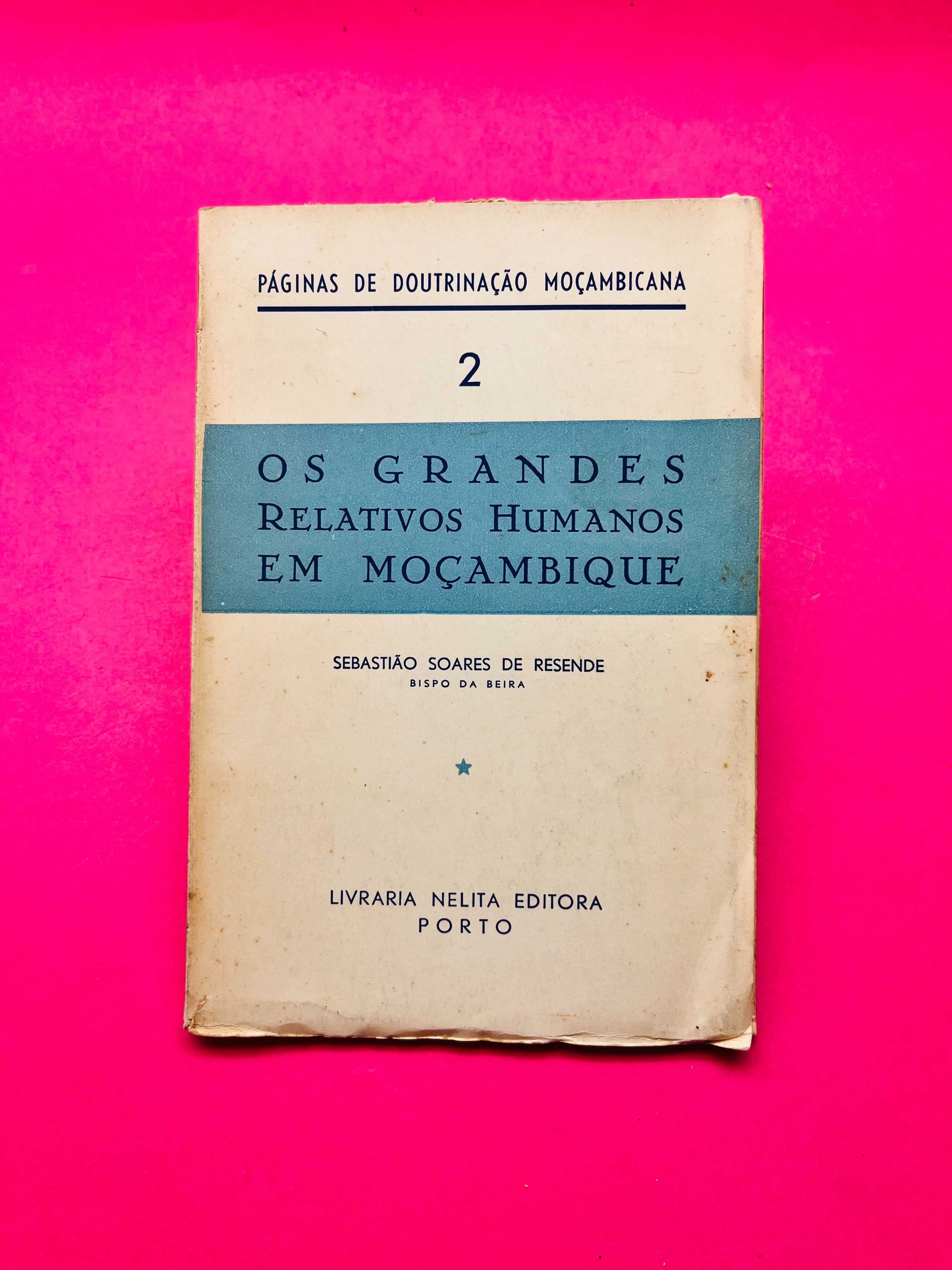 Os Grandes Relativos Humanos em Moçambique