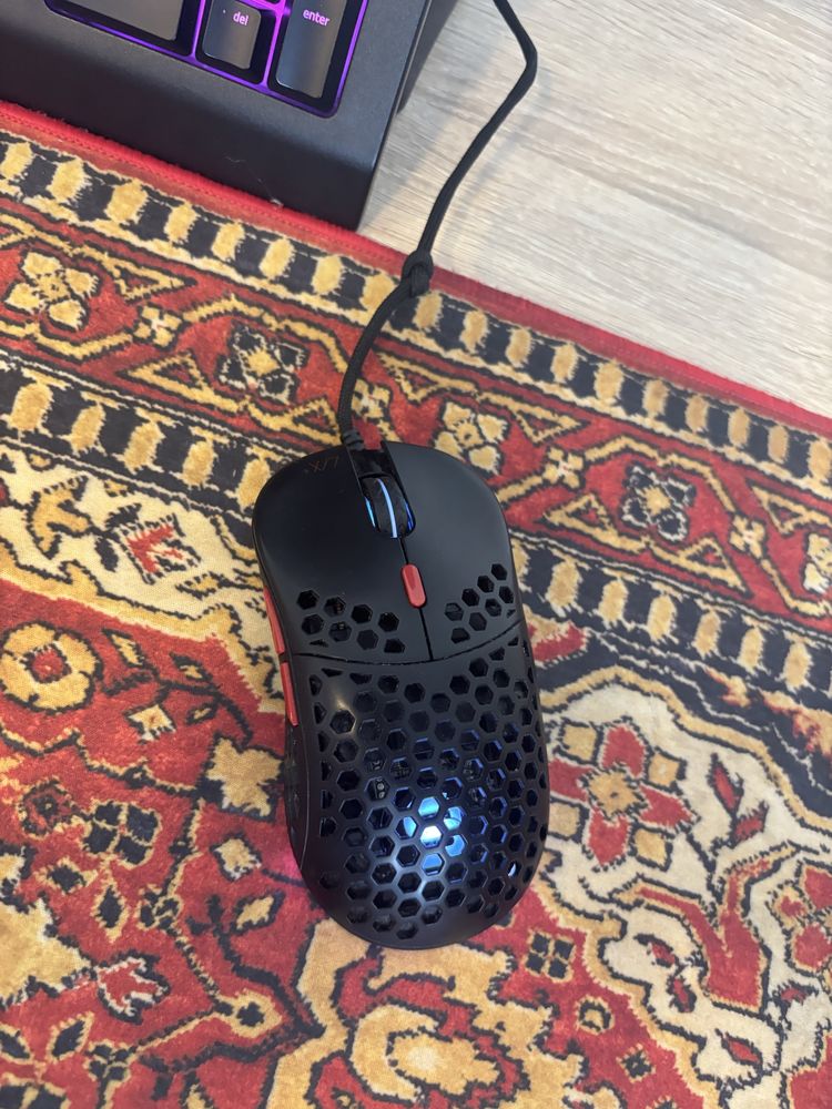 zestaw lix plus i cynosa v2