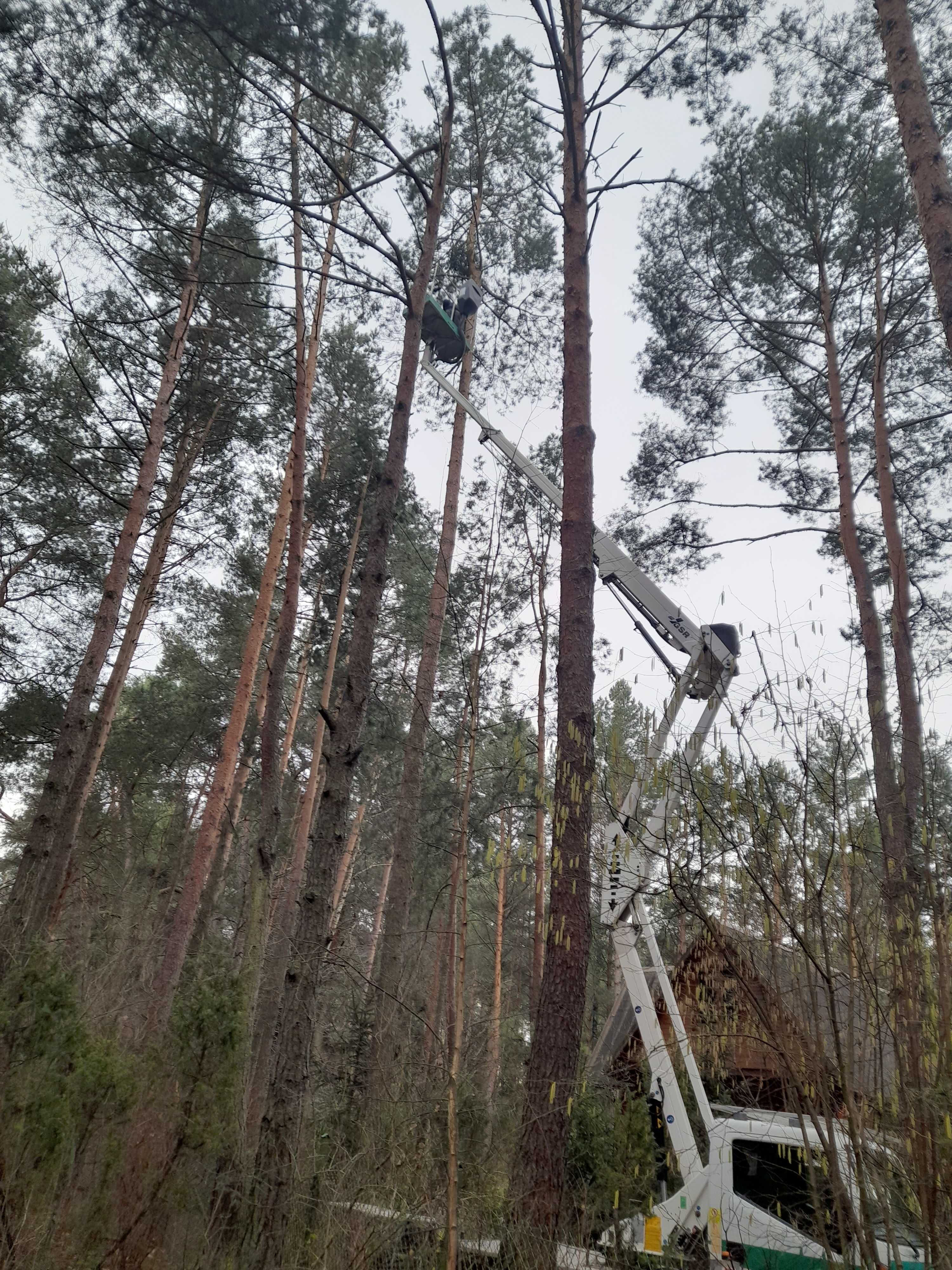 Wynajem podnośnika koszowego 21m