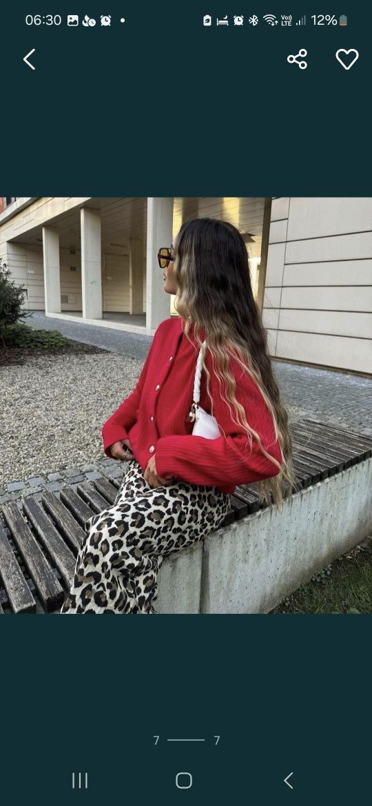 Spodnie w panterkę Zara r. M dzwony hit