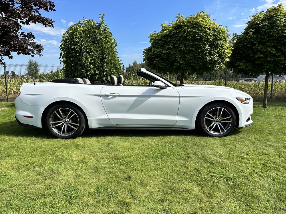 Mustang Cabrio CarPlay 317HP wynajem aut wypożyczalnia FV rent PREMIUM