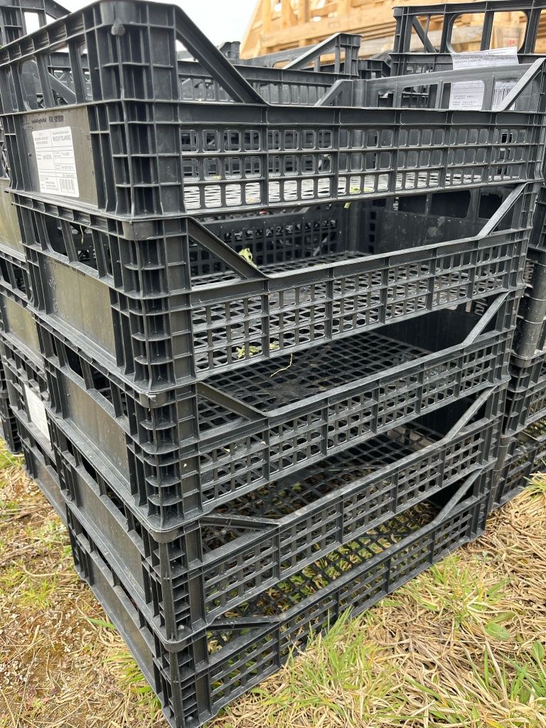 Skrzynki plastikowe po rzodkiewce  50x30x14cm 10000 sztuk
