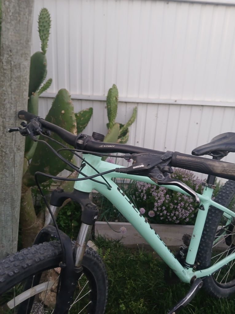 Vendo specialized pitch