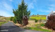 Terreno à venda em Freiria com Projeto de Construção Aprovado!