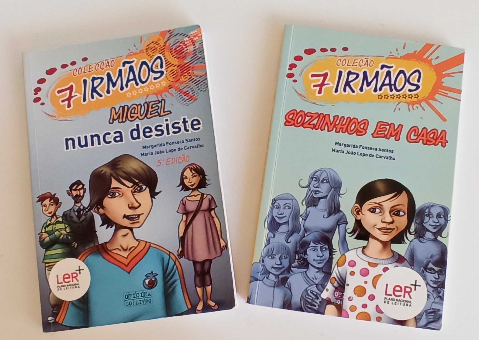 Coleção os 7 Irmãos