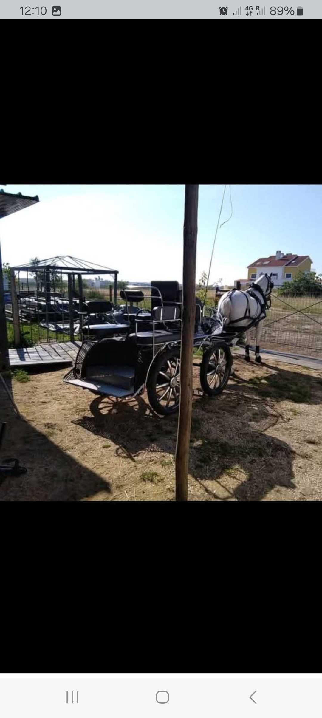 Charrete Maratona