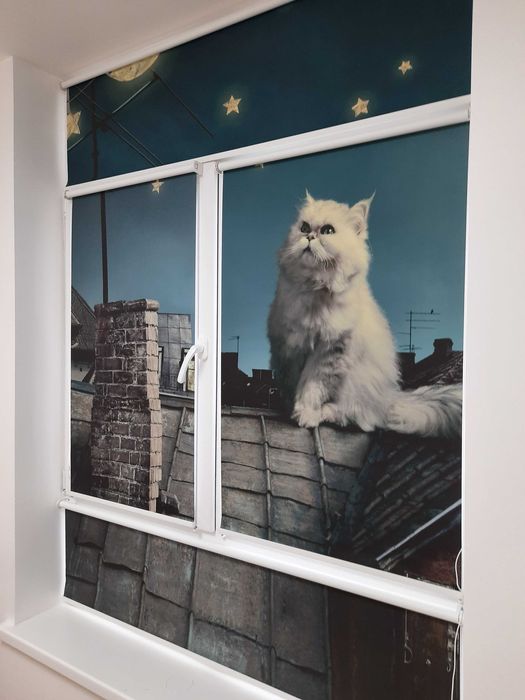 Фотодрук на ролетах та жалюзі • Друк будь-якого зображення