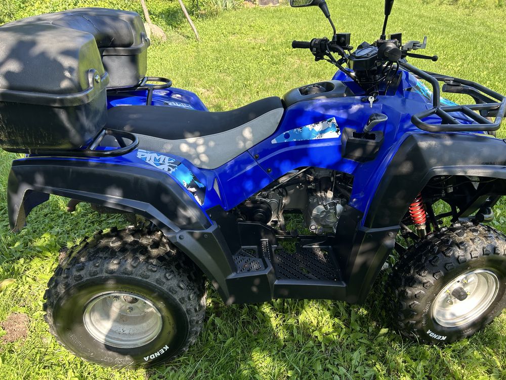 Quad Adly 280/ 300 L7e