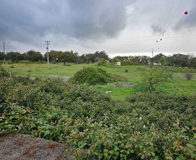 Quinta a 2Kms da cidade Castelo Branco 12,69 Hectares