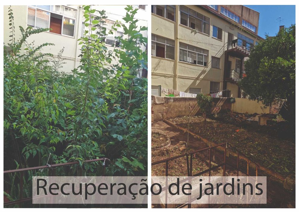 Arborismo e Jardinagem.
