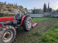 Limpezas florestais e terrenos agrícolas