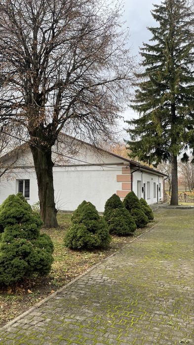 Продаж будівель в центрі с. Здовбиця.