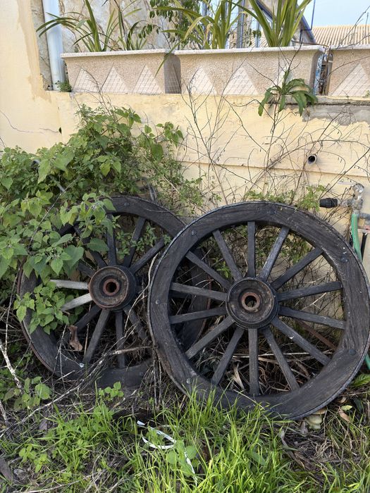 Vendo rodas de carro de bois