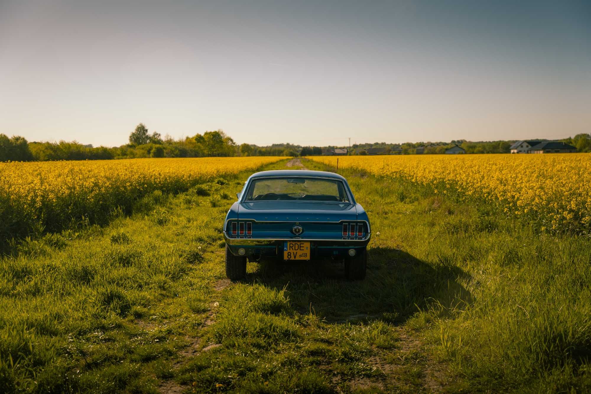 Wynajem Ford Mustang 1967 4.7 V8 na ślub, sesje, specjalne okazje
