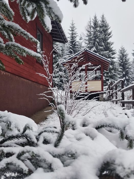 Свій будинок в Буковелі Яблуниця для життя та пасивного доходу