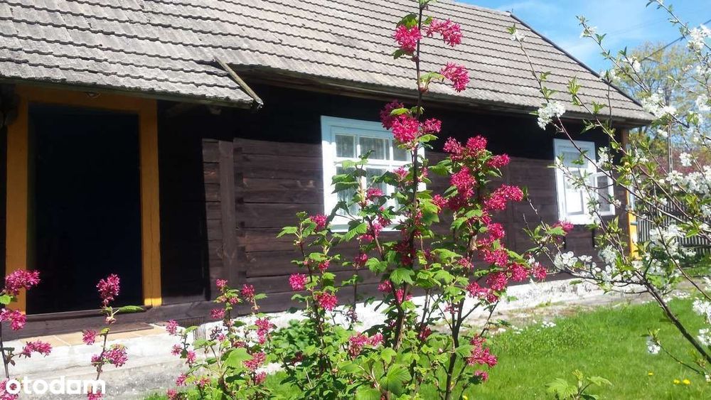 Siedlisko z domem i urokliwą kuźnią w cenie działki