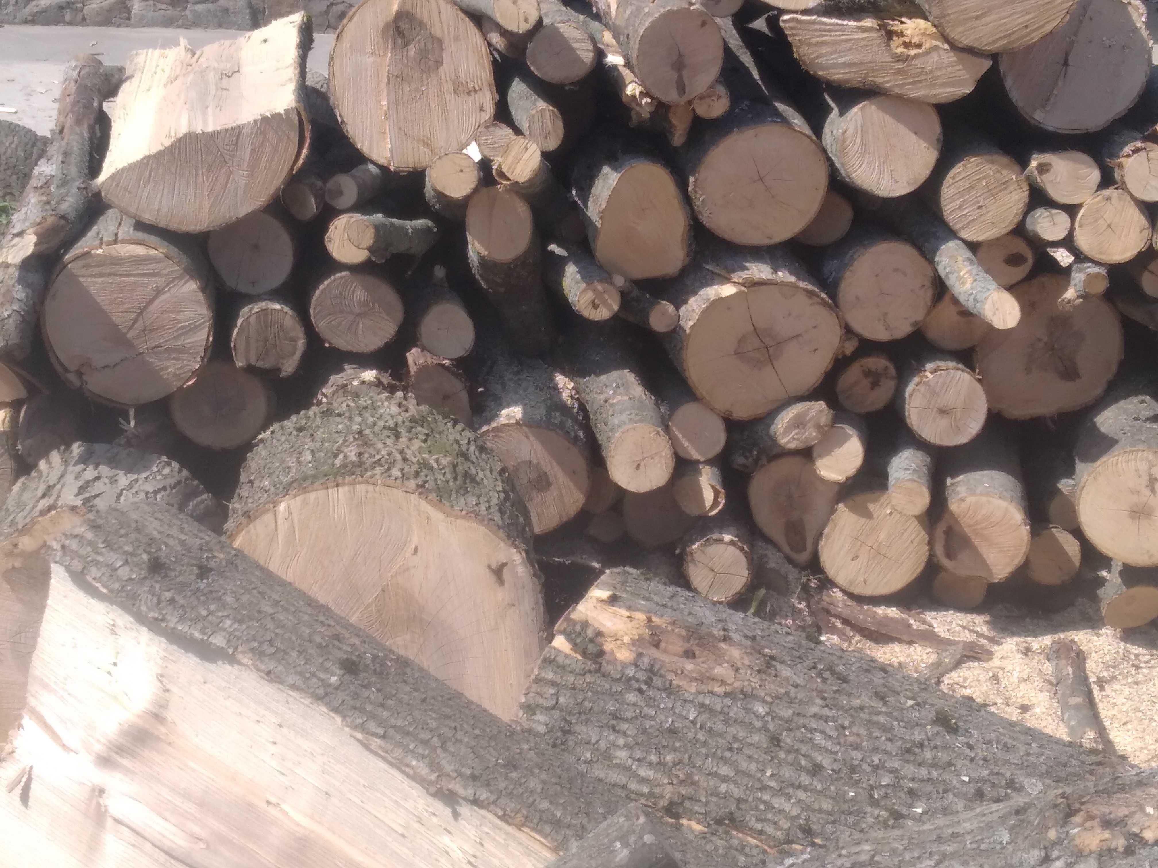 Продам дрова твердих порід дуб граб
