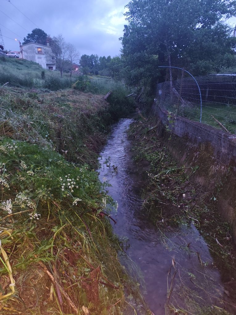 Limpeza de terrenos