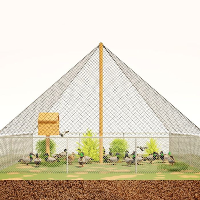 SIATKA ochronna hodowlana ogrodowa do wolier 2x2cm na metry