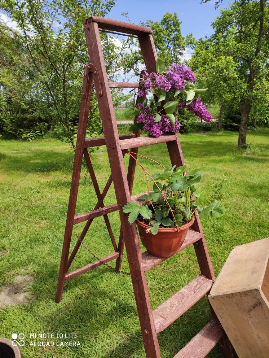 Stara piękna drewniana drabina piekny drewniany kwietnik vintage retro