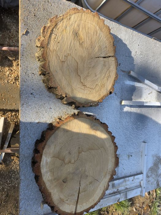 Plastry dębowe na dekoracje