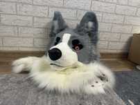 fursuit dog szybka sprzedaż!!
