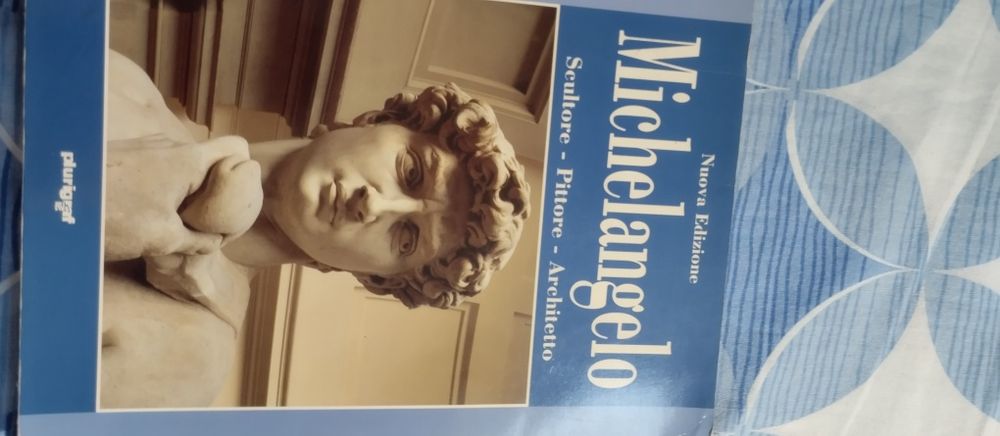 Michelangelo acultore- pitore - architetto