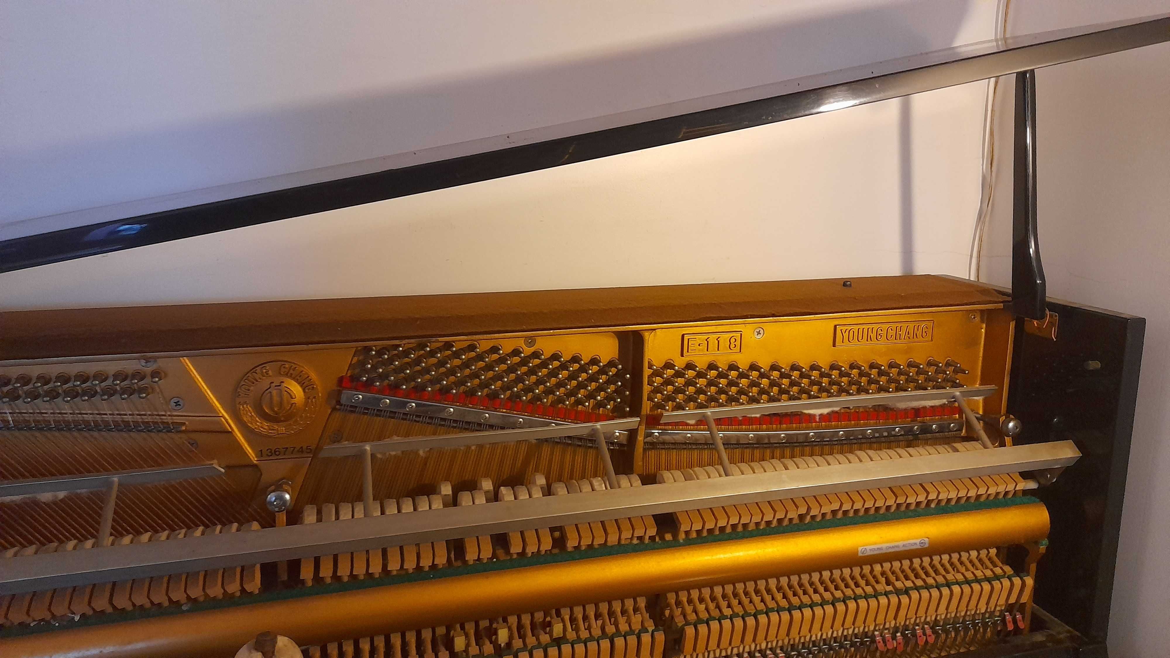 Piano Young Chang E-118