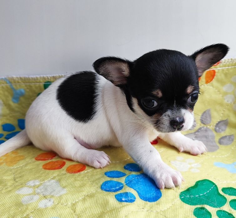 Кукляшная девочка