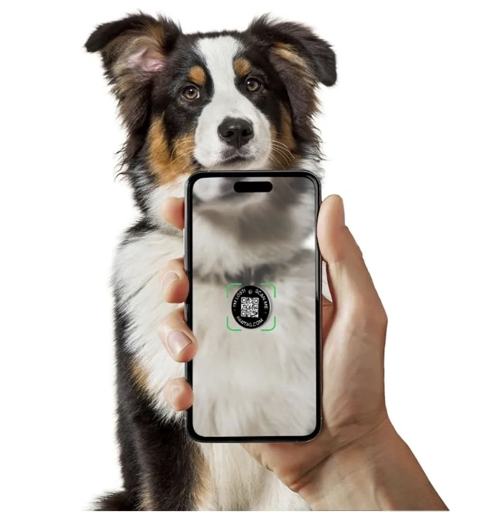 PawTag Inteligentna zawieszka QR