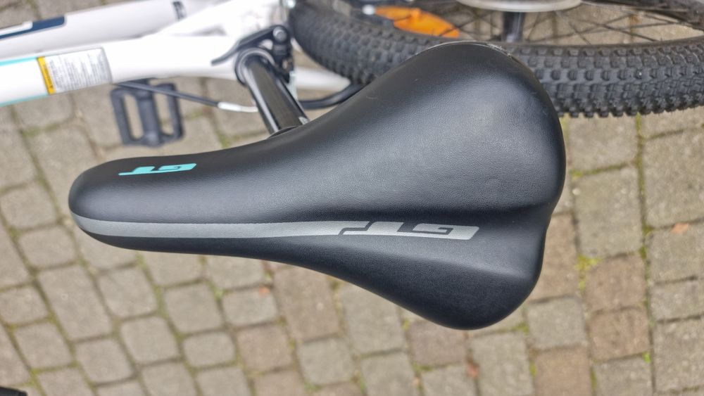 Rower 20" GT Stomper