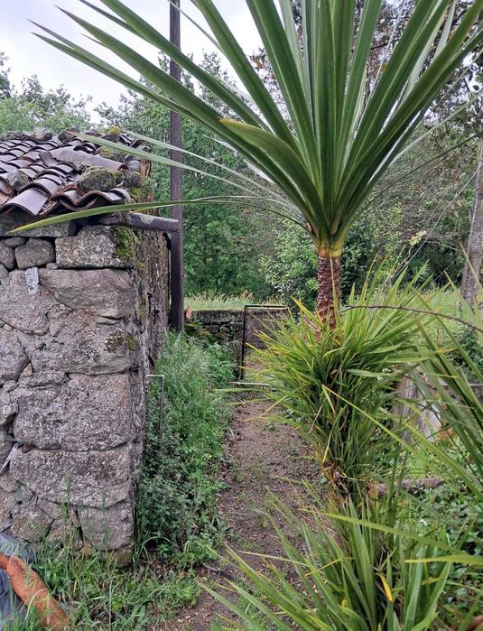 Terreno e casa nao habitável em portela do vade concelho vila verde