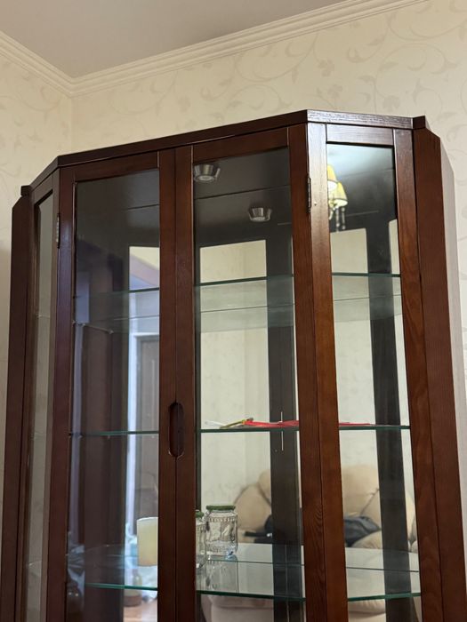 Шафа у вітальню (зі шкіряними вставками)