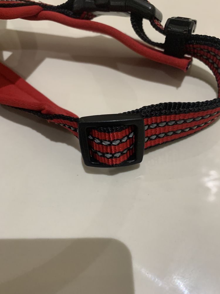 Шлея для собаки aktive dog   strong розмір м