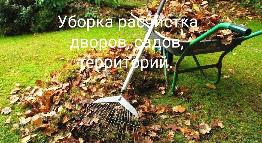 САДОВНИК. Сухой лиман. Одесса.Обработка деревьев. Консультация БЕСПЛАТ