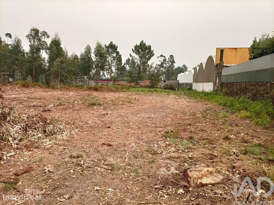 Terreno Agrícola em Mazarefes E Vila Fria de 6532,00 m2