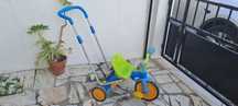 Triciclo Imaginarium