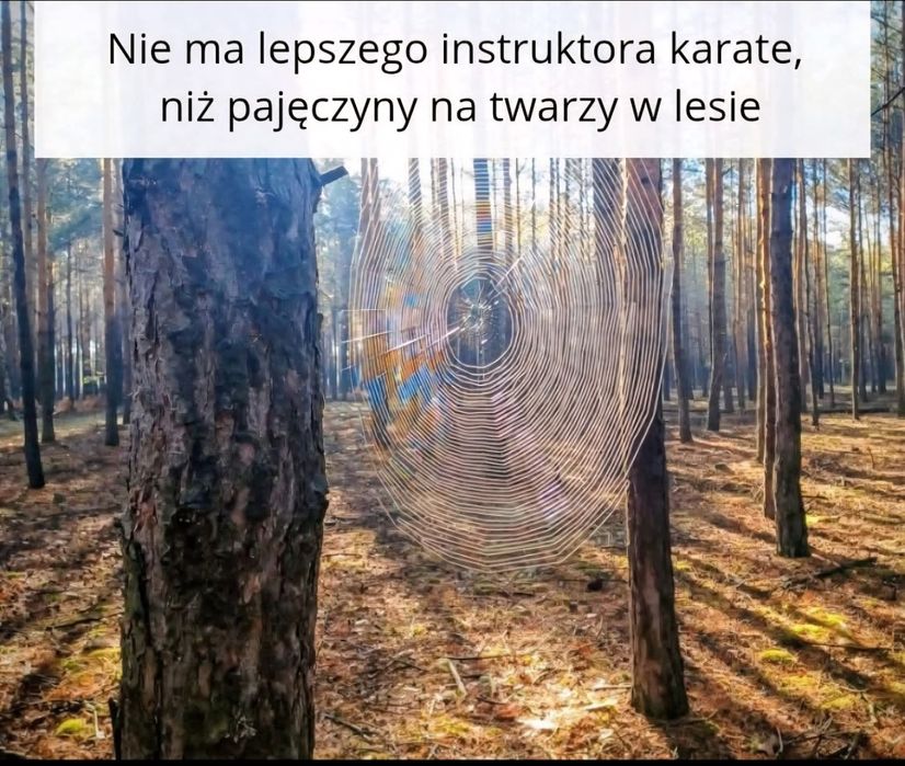 Nawigacja dla Ciężarówek
