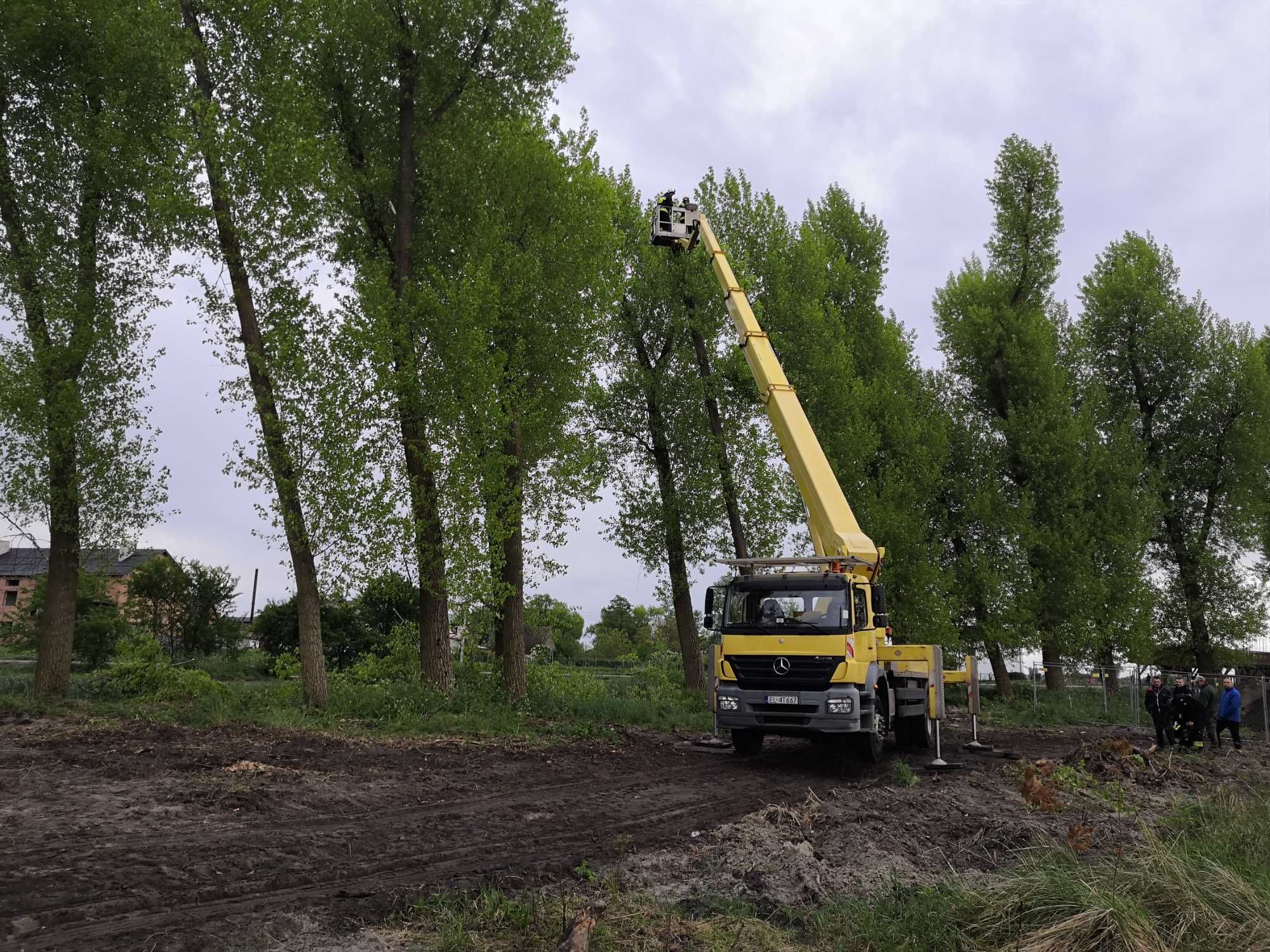 Podnośnik koszowy, zwyżka, wycinka drzew i inne prace wysokościowe