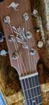 Maton EBG 808C TE series z przetwornikiem AP5 Pro